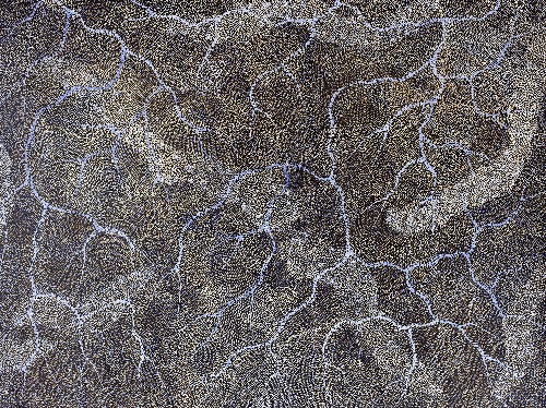 Ancestors - Wet Season Lake Eyre - SKIG0697