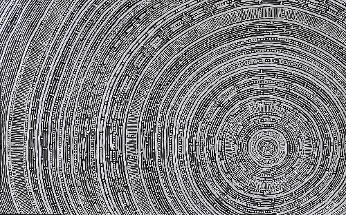 Language of the Earth - SKIG0761