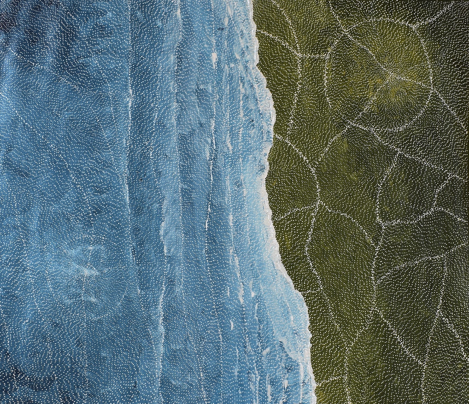 Earth Elements - SKIG1006 by Sarrita King