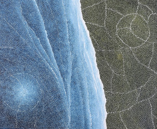Earth Elements - SKIKOG0967