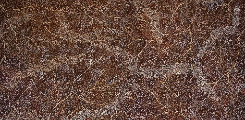 Ancestors - Dry Season Lake Eyre - SKIG0937 by Sarrita King