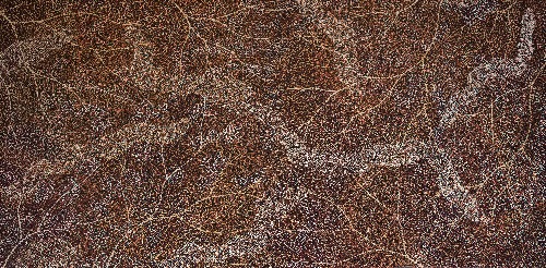 Ancestors - Dry Season Lake Eyre - SKIG0937
