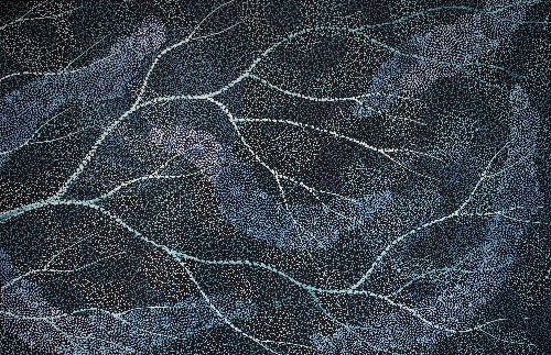 Ancestors - First Rain Lake Eyre - SKIG0995