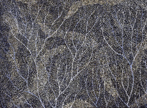 Ancestors - Wet Season Lake Eyre - SKIG0962