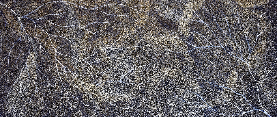 Ancestors - Wet Season Lake Eyre - SKIG0941 by Sarrita King