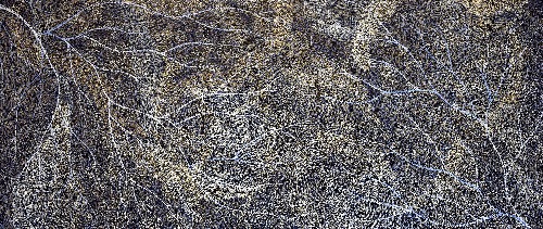 Ancestors - Wet Season Lake Eyre - SKIG0941