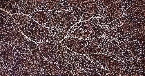 Ancestors - Lake Eyre Dry Season - SKIG1044