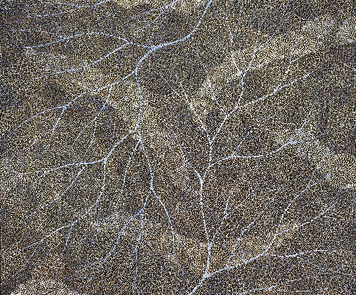 Ancestors - Wet Season Lake Eyre - SKIG0939