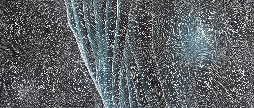 Earth Elements - SKIG0987