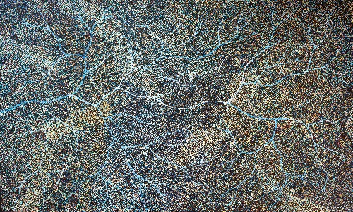 Ancestors - Wet Season Lake Eyre - SKIG1012