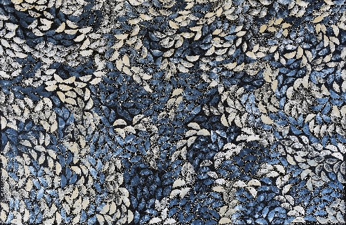 Alatyeyt (Spinifex Grass) - STPAP10213121