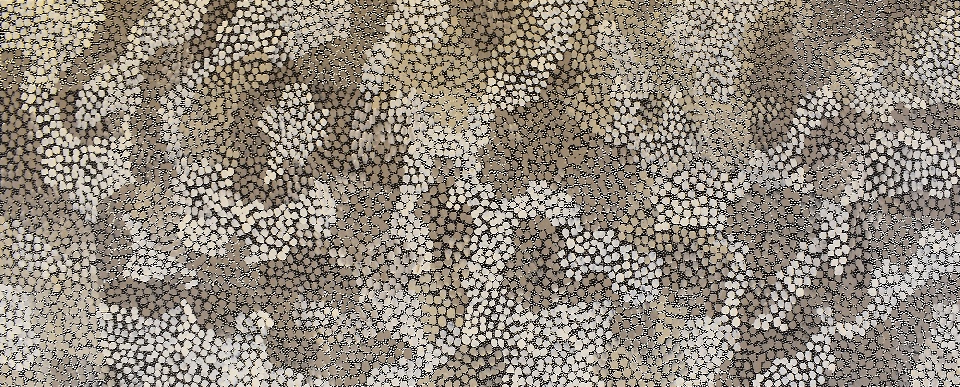Bush Tomato - STPAP4161982 by Selina Teece Pwerle