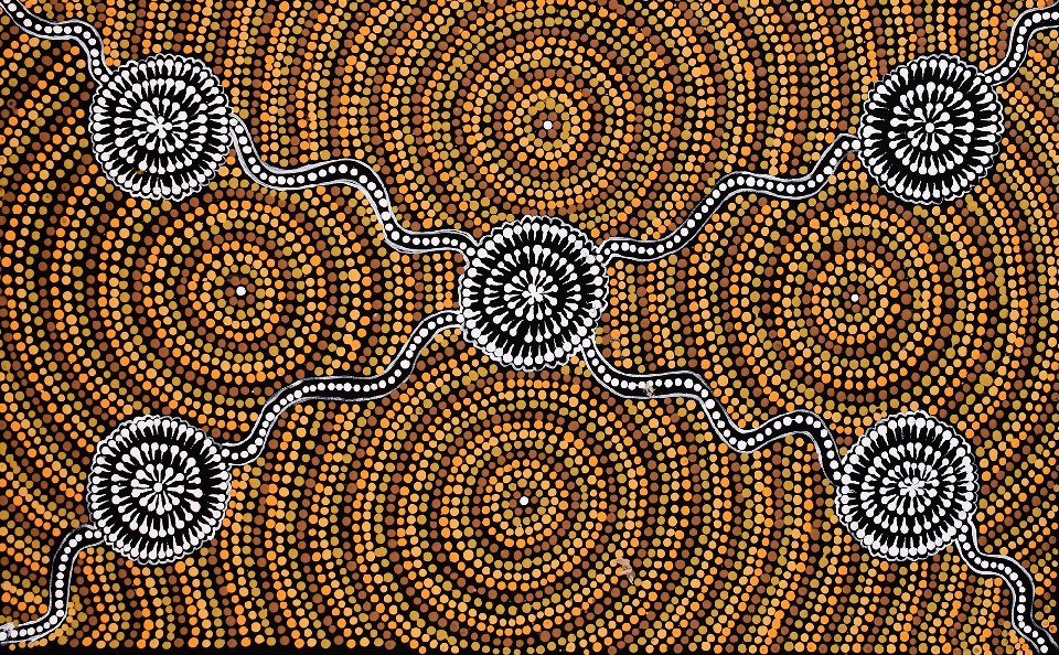 Wanakiji Jukurrpa (Bush Tomato Dreaming) - SNTWU1903/23 by Selma Napanangka Tasman