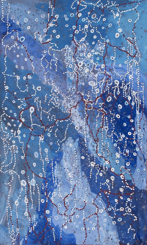 Janganpa Jukurrpa (Brush-tail Possum Dreaming) - SJNWU2467/23