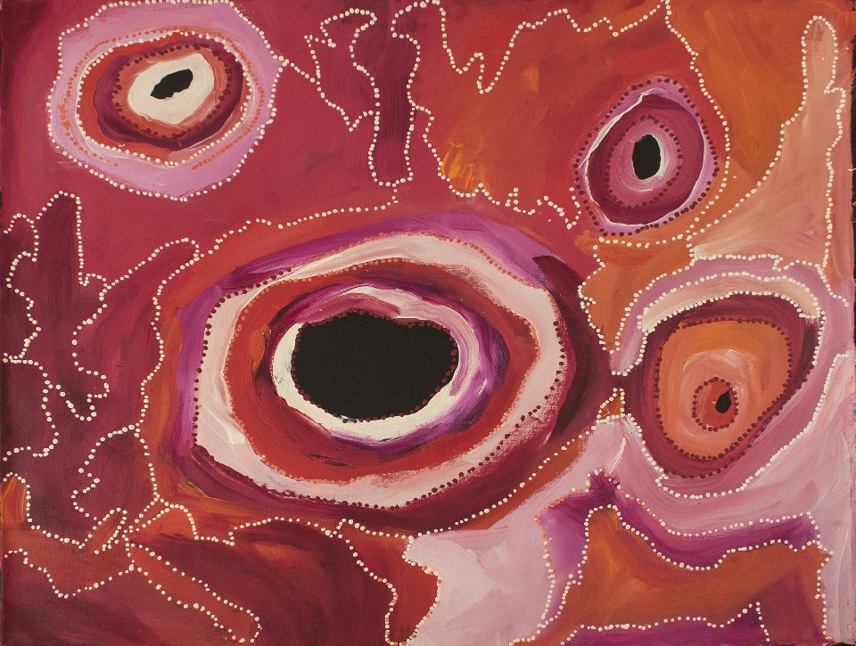 Janganpa Jukurrpa (Brush-tail Possum Dreaming) - SJNWU4395/24 by Steven Jupurrurla Nelson