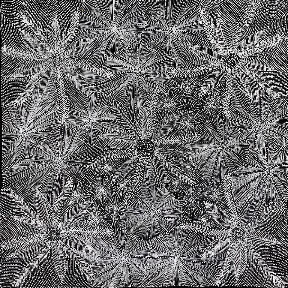 Ntyenyengkwarl Dreaming - Red-Bud Mallee Honey - SUHG0001 by Susan Hunter Petyarre