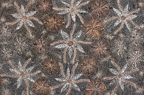 Ntyenyengkwarl Dreaming - Red-Bud Mallee Honey - SUHG0002