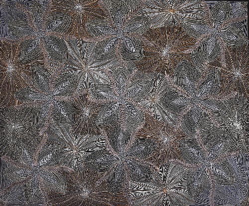 Ntyenyengkwarl Dreaming - Red-Bud Mallee Honey - SUHG0005