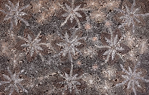 Ntyenyengkwarl Dreaming - Red-Bud Mallee Honey Dreaming - SUHG0003