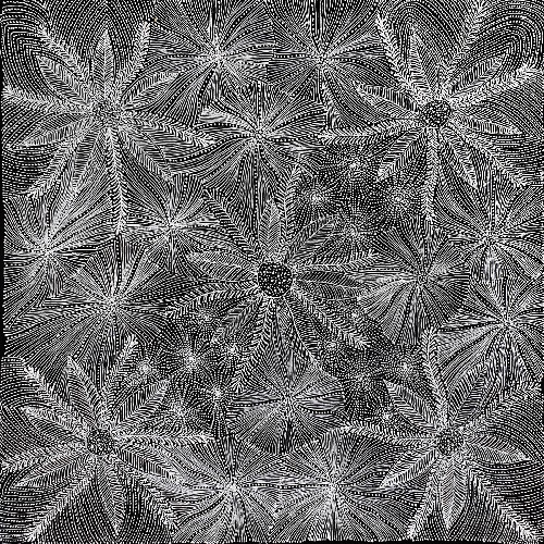 Susan Hunter Petyarre