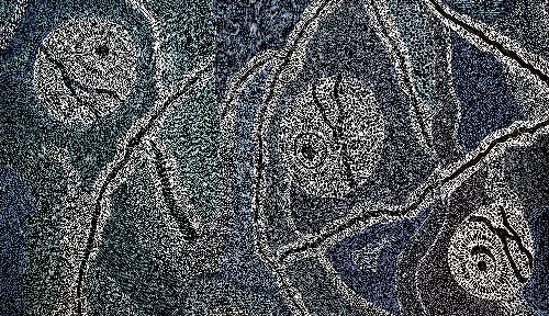 Gurindji Ancestors - TKIG0562