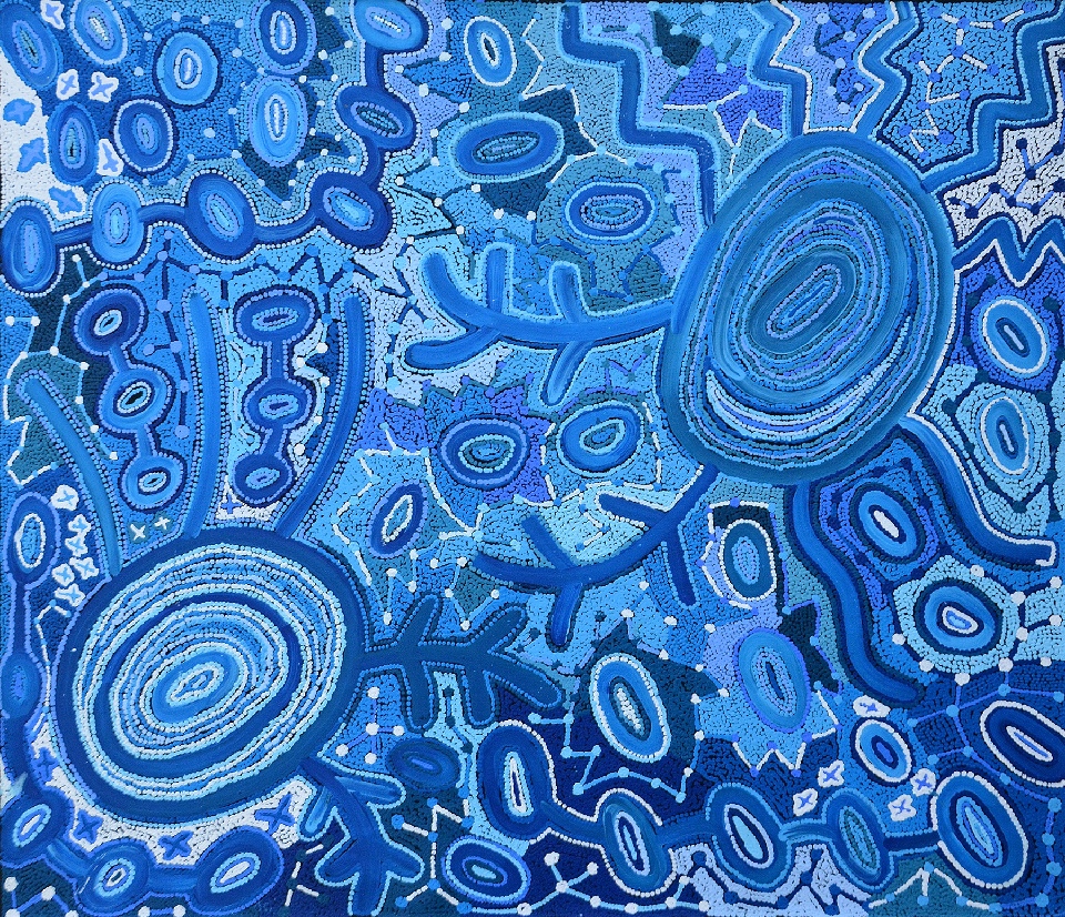 Pikilyi Jukurrpa (Vaughan Springs Dreaming) - TNHWU938/17 by Theo (Faye) Nangala Hudson