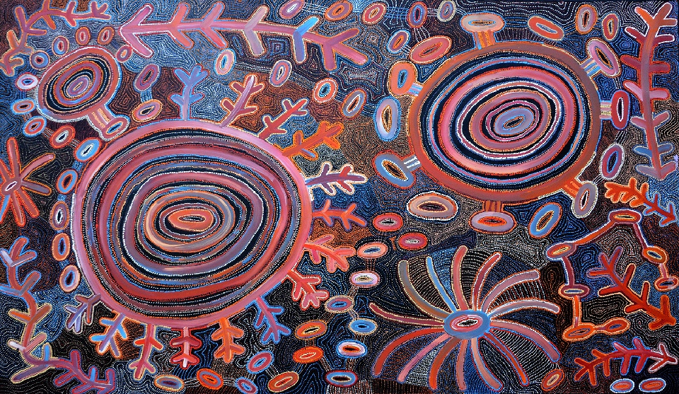 Pikilyi Jukurrpa (Vaughan Springs Dreaming) - TNHWU1575/17ny by Theo (Faye) Nangala Hudson