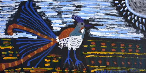 Lyre Bird in the Evening -TTBDD0024