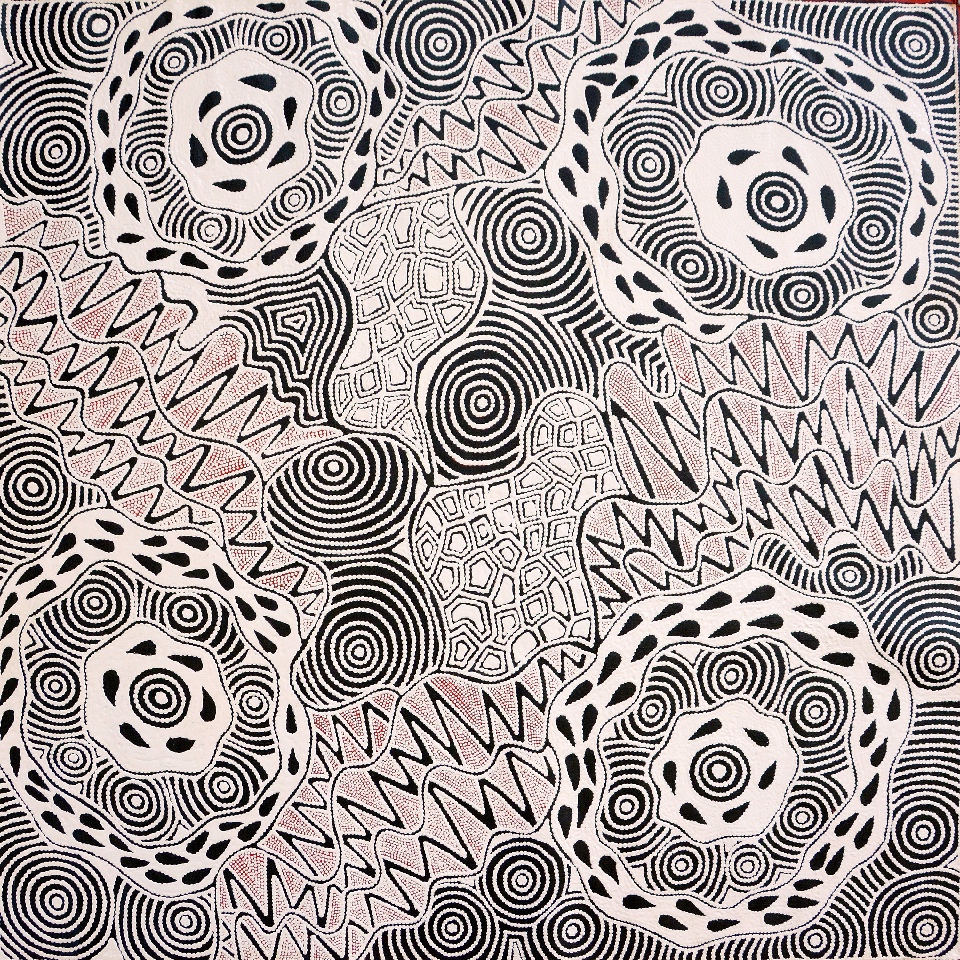 Pikilyi Jukurrpa (Vaughan Springs Dreaming) - UNHWU981/15ny by Ursula Napangardi Hudson