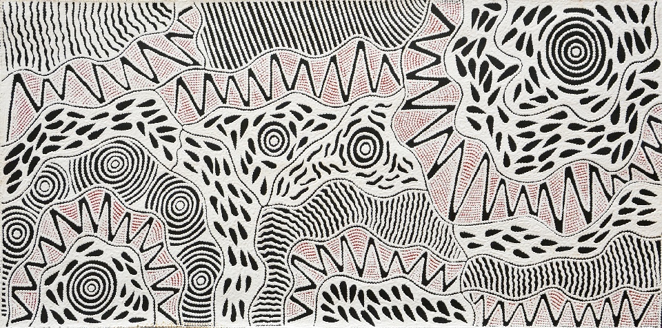 Pikilyi Jukurrpa (Vaughan Springs Dreaming) - UNHWU2256/18ny by Ursula Napangardi Hudson