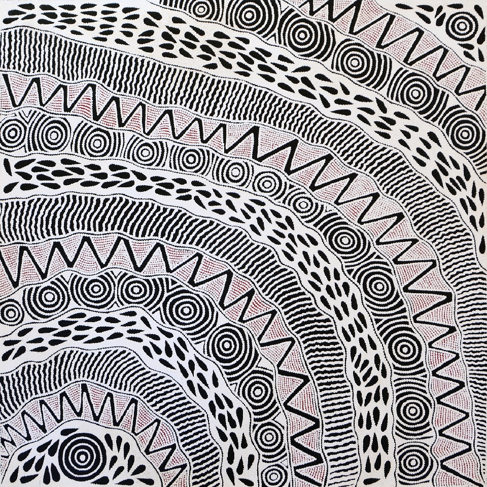 Pikilyi Jukurrpa (Vaughan Springs Dreaming) - UNHWU779/19ny by Ursula Napangardi Hudson