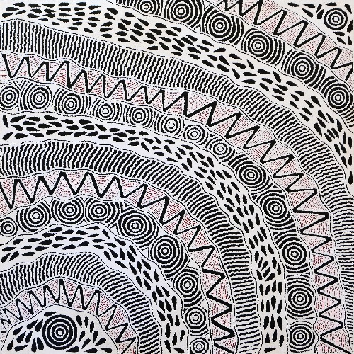 Pikilyi Jukurrpa (Vaughan Springs Dreaming) - UNHWU779/19ny