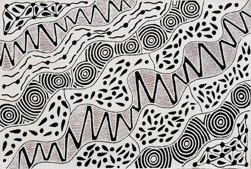 Pikilyi Jukurrpa (Vaughan Springs Dreaming) - UNHWU136/21ny by Ursula Napangardi Hudson