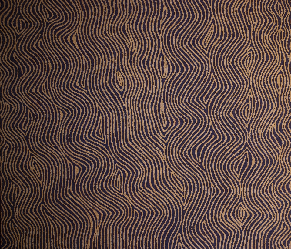 Tingari - WARHJ0001162 by Warlimpirrnga Tjapaltjarri