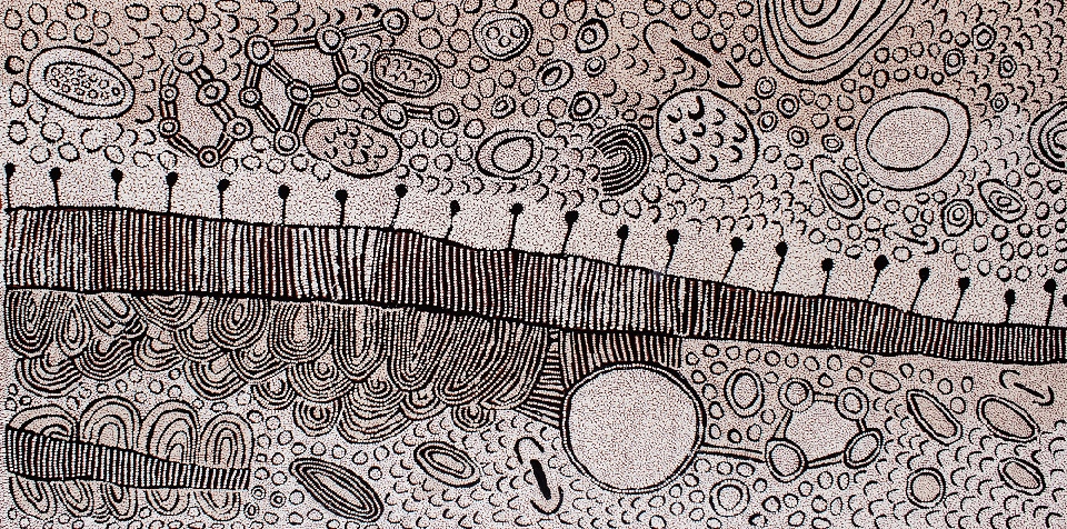 Untitled - YNAAR202503 by Yinarupa Nangala