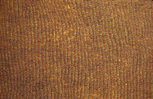 Tali - YUKG2494