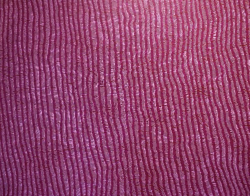 Tali - YUKG25159