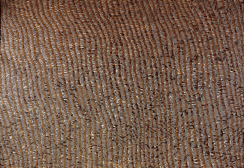 Tali - YUKHF2618