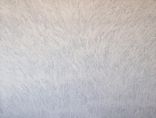 Grass Seed - BWEG0334