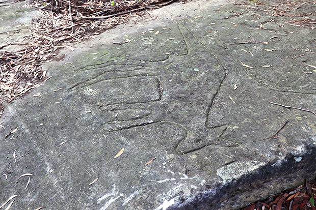 Kangaroo rock engraving