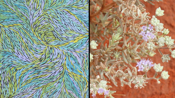 Bush Flowers in Utopia Community and an artwork by Jeanie Petyarre that uses a similar palette