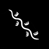 Goanna Symbol